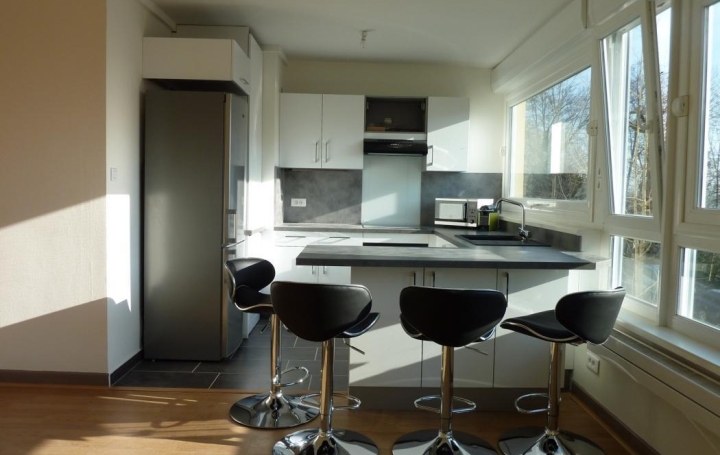  IMMOLIVIER Appartement | NANCY (54000) | 12 m2 | 410 € 